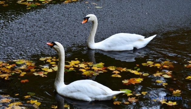 Завтра в Україні без опадів, можливі тумани, вдень до +16°