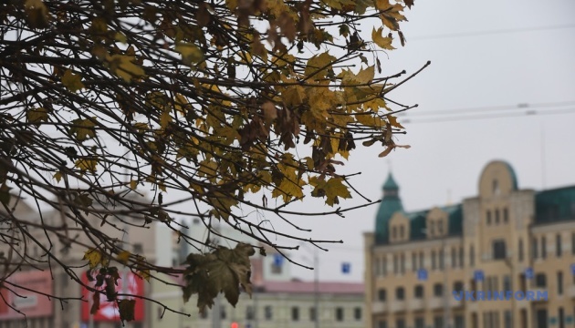 В Україні завтра без опадів, удень подекуди до +12°