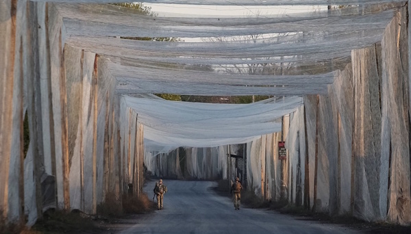 630_360_1762780514-721