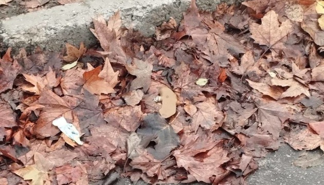 У Херсоні на російських мінах «пелюстка» підірвалися два авто швидкої допомоги