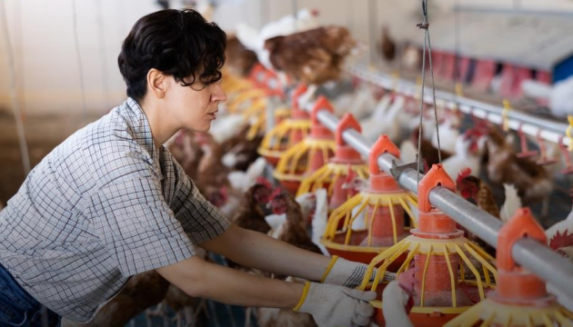 Переробні підприємства отримають ще 217 мільйонів грантів на розвиток та відновлення