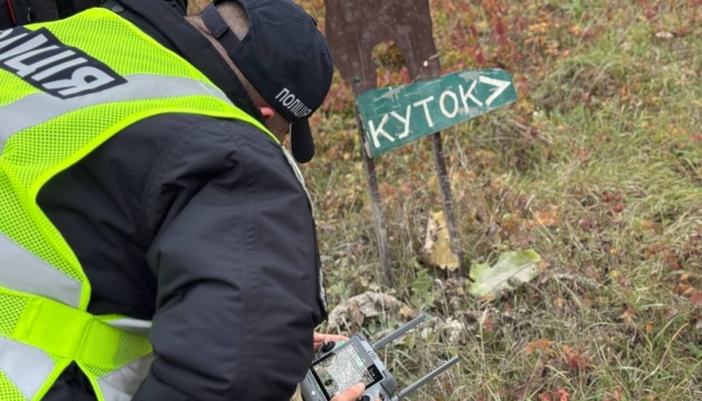У Хмельницькому оголосили підозру керівнику зоокуточка, звідки втекли дві левиці