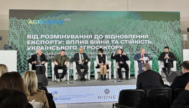 Сирії дуже важливо перейняти досвід України в гуманітарному розмінуванні - міністр