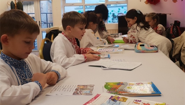 «Рідна школа» в Ірландії отримала верифікацію МОН