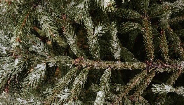 Дощі та мокрий сніг - сьогодні в Україні до +18° 