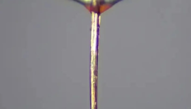 Робот доставляє ліки через судини, а хоботок комара для 3D-друку органів