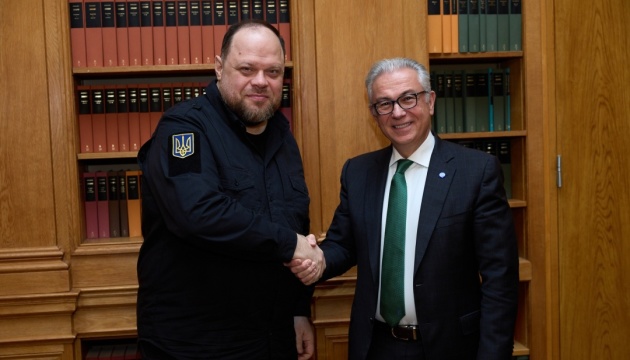 Стефанчук обговорив із президентом ПАРЄ мирні ініціативи і спільну позицію щодо майбутніх переговорів
