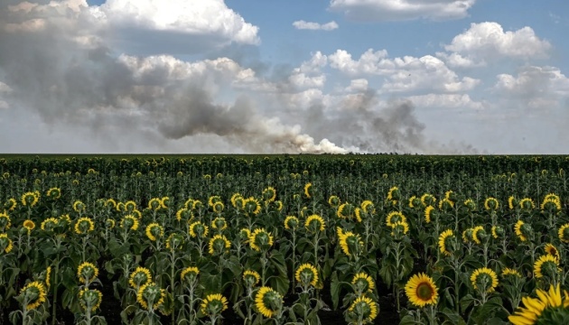 630_360_1764081682-307