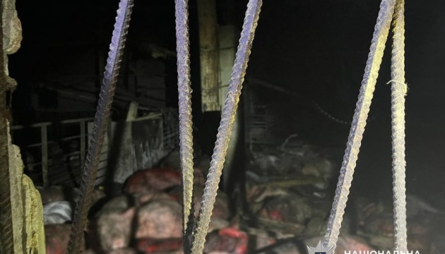 Обстріли Чернігівщини: ворог минулої доби бив по підприємствах, транспортній інфраструктурі та будинках