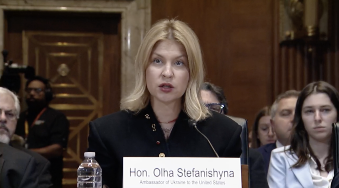 Ольга Стефанішина / Фото: скріншот із трансляції