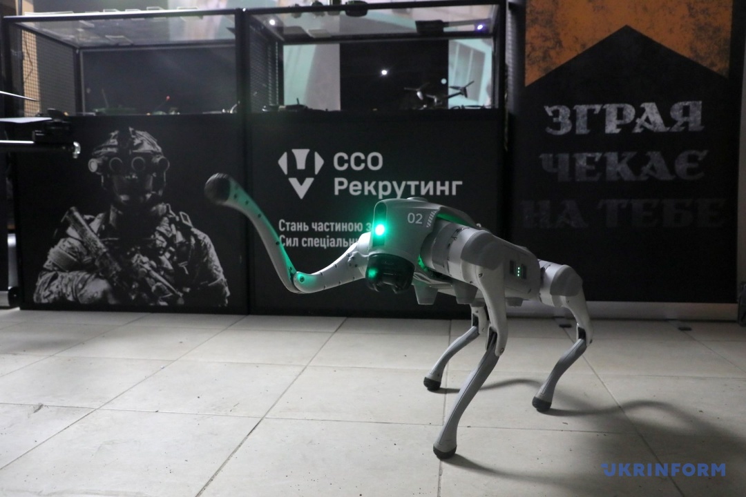 Фото: Юлія Овсяннікова