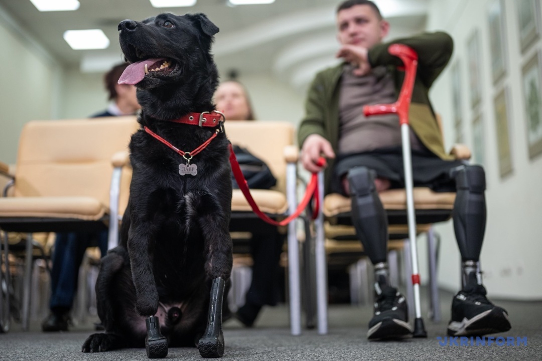 Олександр Толоченко