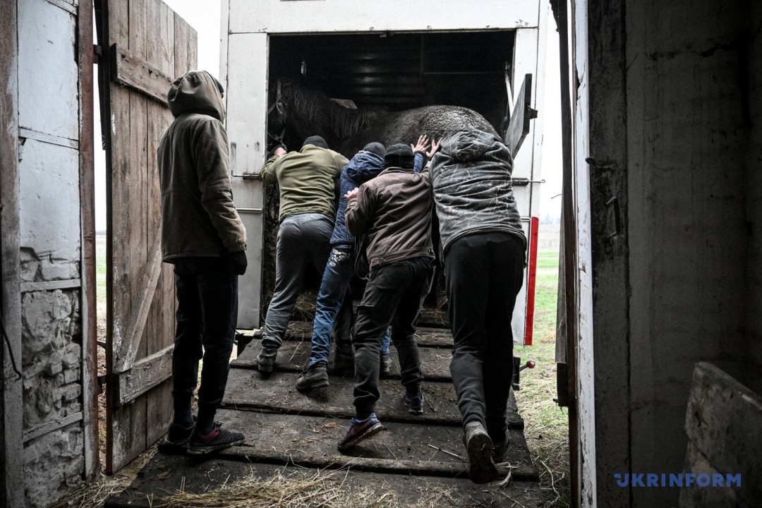 Фото: Дмитро Смольєнко