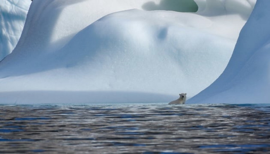 Фото Bob Brewer / Unsplash