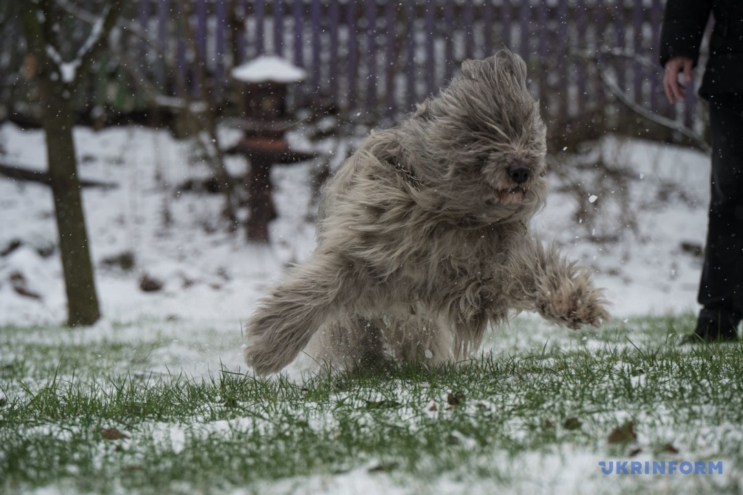 Фото: Данило Антонюк