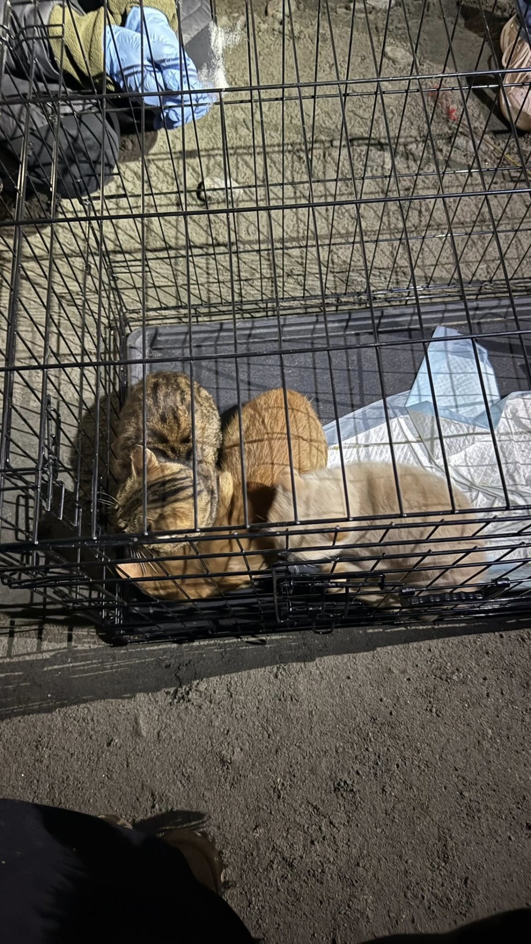 Фото: facebook.com/snizhana.buhrik