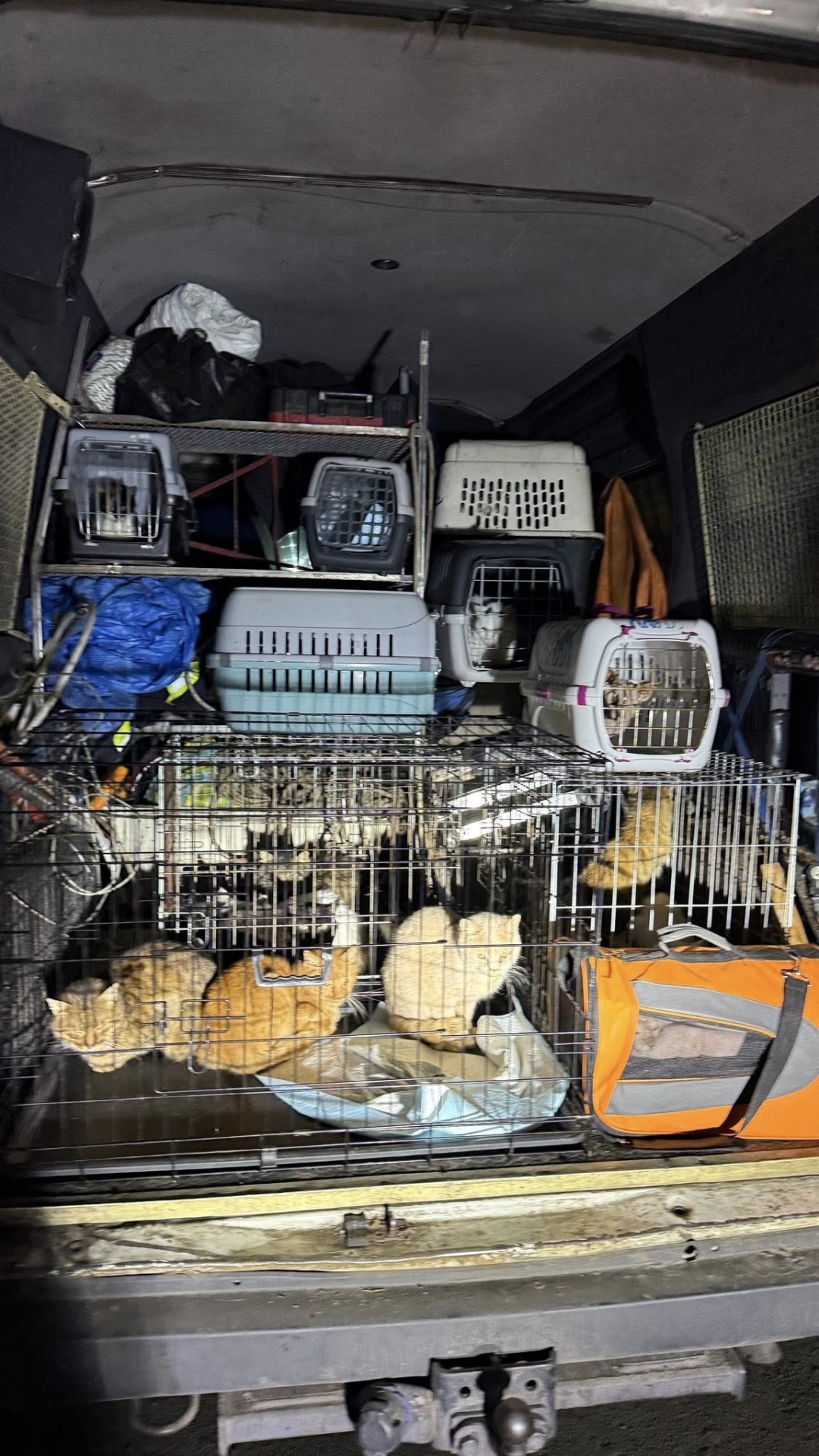 Фото: facebook.com/snizhana.buhrik