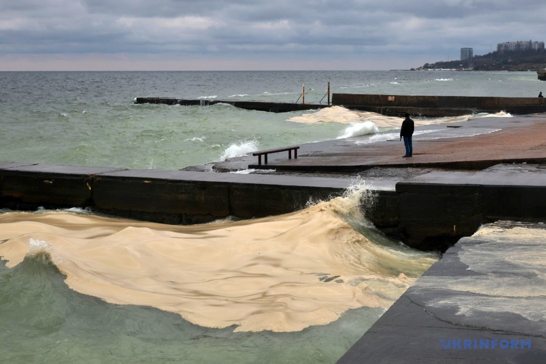 Фото: Ніни Ляшонок