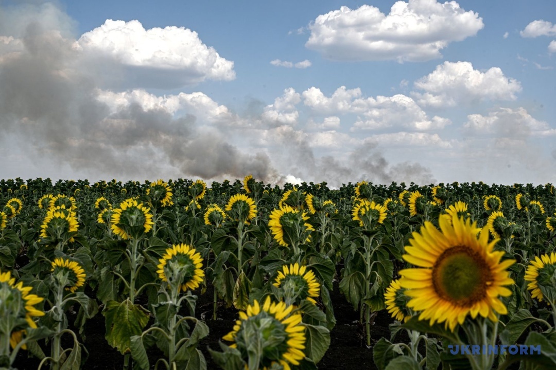 Фото: Дмитро Смольєнко