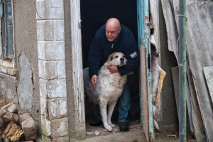 «Мій бусик - ціль для росіян»: херсонець вивозить великих собак із «червоної» зони