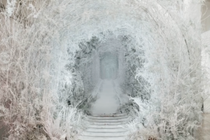 У Києві виставка Ukraine WOW відкрила зимовий сезон