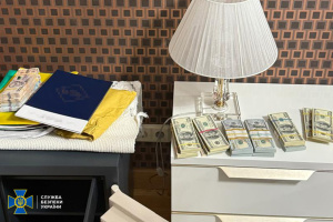 «Санкції за $250 тисяч»: у СБУ розкрили деталі схеми, народній депутатці оголосили підозру