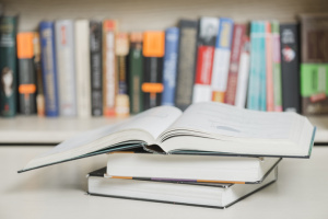 10 найкращих історій, що дарують диво: дитячі книжкові дарунки до Різдва