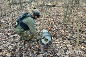 На Полтавщині вибухотехніки знешкодили бойові частини ракети та БпЛА