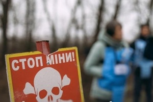 ФАО і Фонд Катару профінансують програму підтримки сільських громад на прифронтових територіях