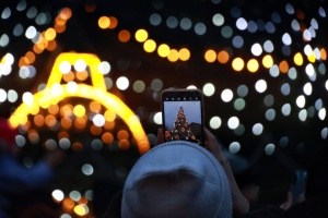 Знищений вокзал, ялинковий сезон і кінна евакуація