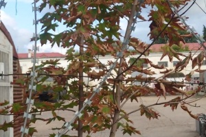 Партизани розвідали ключовий логістичний вузол Чорноморського флоту у Севастополі