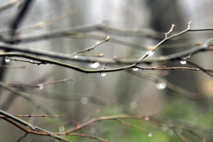 В Україні у вівторок незначне похолодання, подекуди дощі