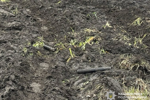 На Чернігівщині знешкодили збитий російський дрон з касетними боєприпасами