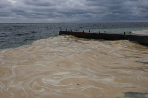У Чорному морі після атаки РФ пляма олії розтягнулася вже на 55 кілометрів