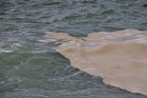 Russian strikes on port of Odesa cause oil spill in Black Sea, killing birds