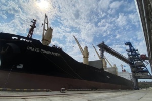 Pivdennyi Port resumes operations