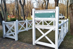 Пункти утилізації працюватимуть упродовж місяця: коли й де можна здати новорічне дерево у Києві