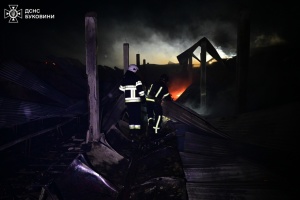 На Буковині сталася масштабна пожежа на птахофермі: згоріли п'ять тисяч курей