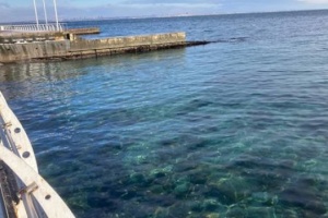 Odesa coastline being cleaned of oil spilled into sea after Russian attack