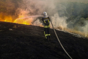 Загарбники завдали збитків екології Луганщини на понад ₴773 мільярди
