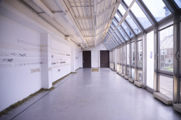 Ukraine to inspect 50 more educational institutions amid surge in students aged 25+