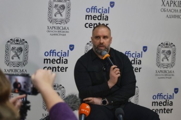 Frontline stable in border village of Sotnytskyi Kozachok in Kharkiv region, regional governor says 