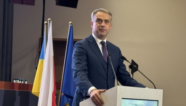 Poland effectively combating anti-Ukrainian disinformation, Deputy PM says