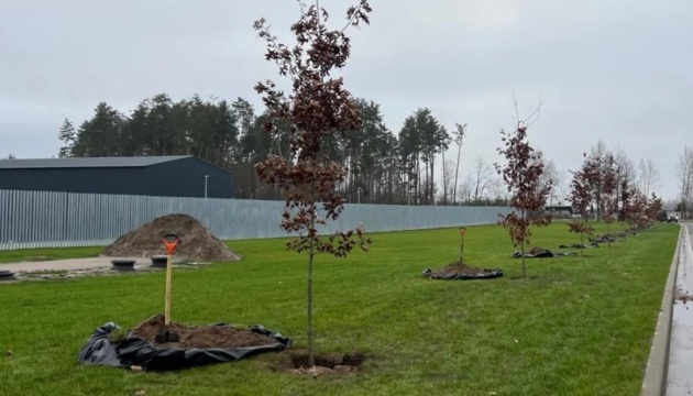 На Національному військовому кладовищі висадили алею дубів у пам’ять про загиблих воїнів