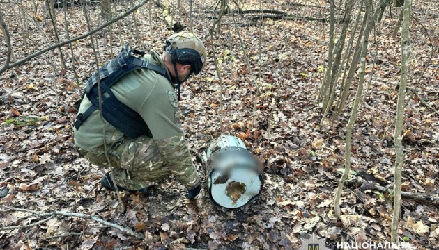 На Полтавщині вибухотехніки знешкодили бойові частини ракети та БпЛА