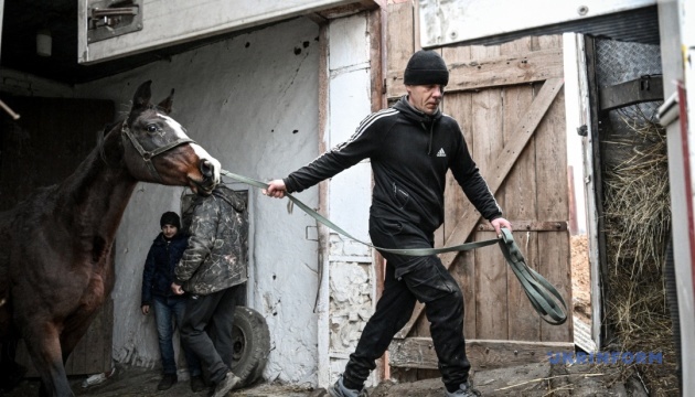 Евакуація кінного заводу в Запорізькій області / Фото: Дмитро Смольєнко, Укрінформ