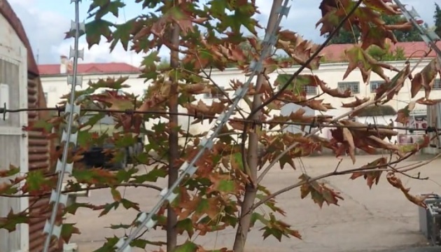 Партизани розвідали ключовий логістичний вузол Чорноморського флоту у Севастополі