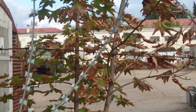 Partisans reconnoiter key Black Sea fleet logistics hub in Sevastopol