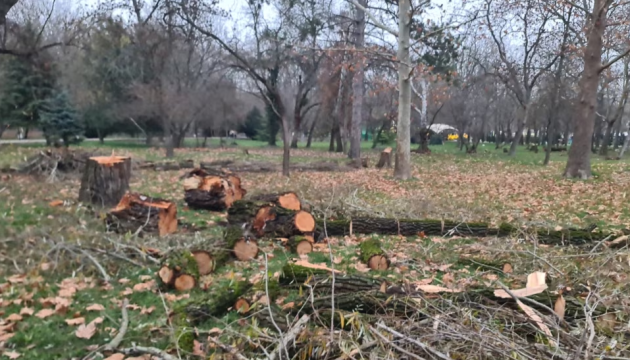 У парку Сімферополя вирубують дерева для потреб російських військових - ЗМІ