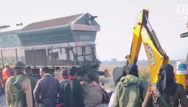 В Індії потяг збив сімох слонів